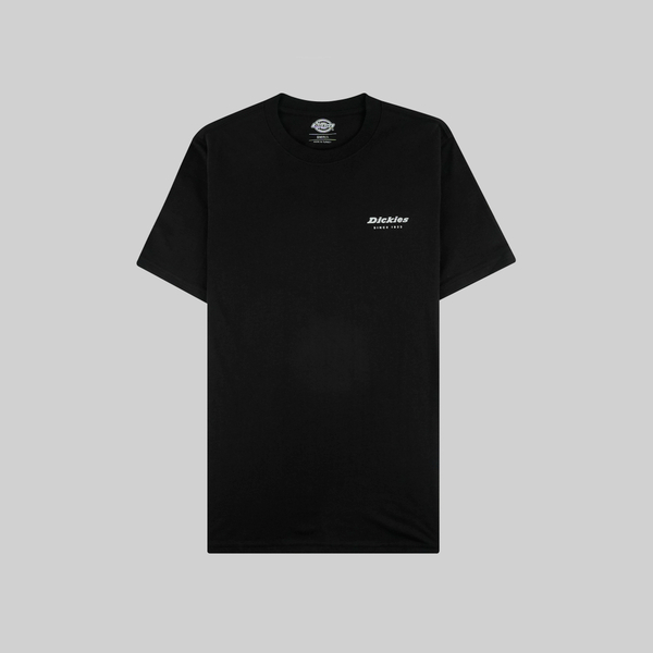 Футболка мужская Dickies Quamba артикул:DK0A4X9JBLK1 - купить в магазине Дайс