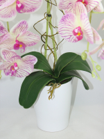 Искусственные Орхидеи тигровые 2 ветки латекс 55см в кашпо