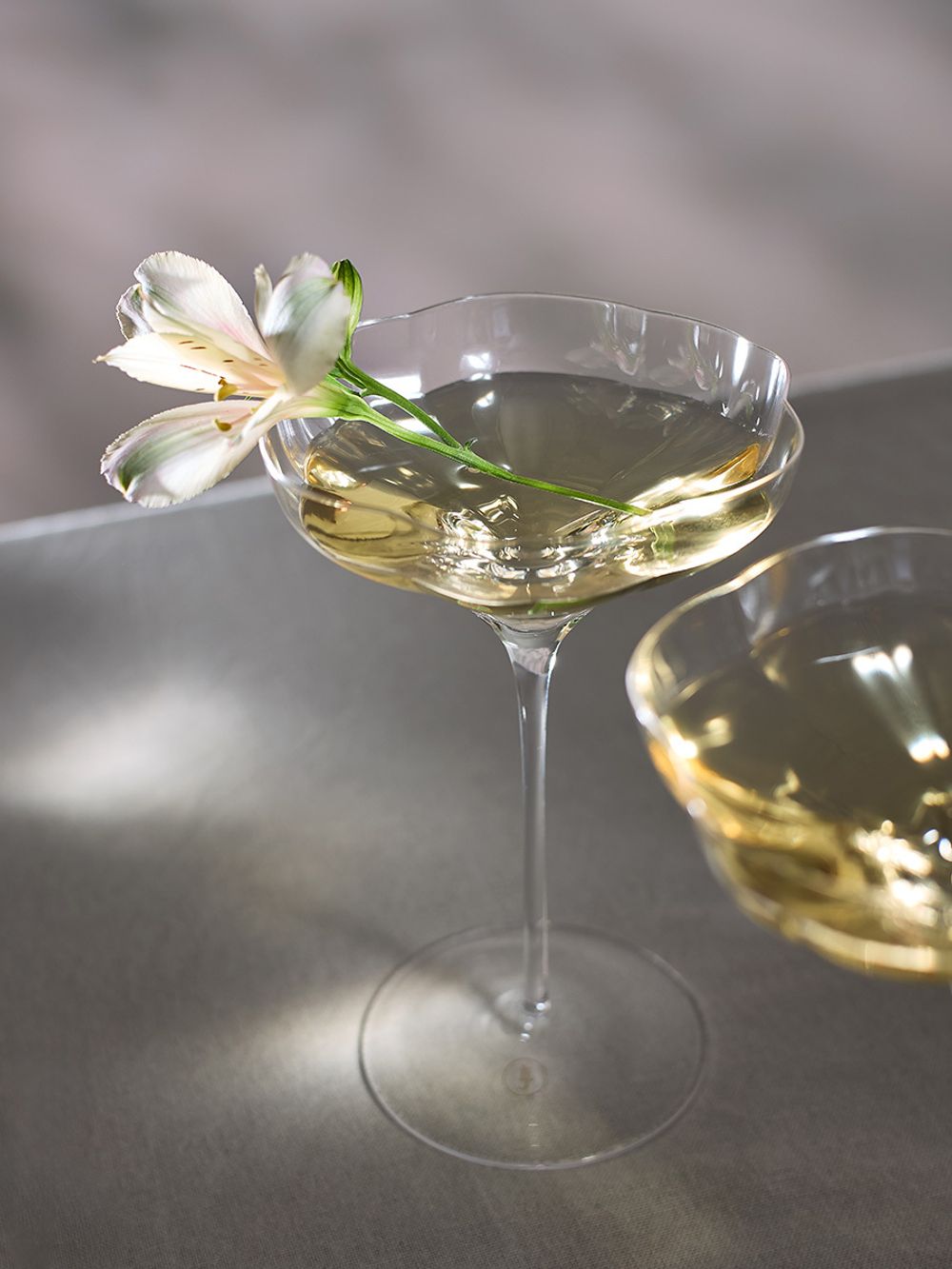 Набор креманок Bloom в подарочной упаковке, 260 мл, 2 шт.