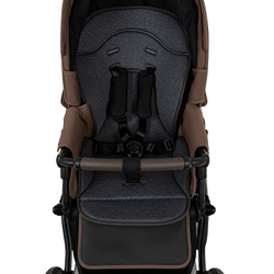 Детская коляска Roan Bass Next Classic d12 2.0 2 в 1 BNC/81/2 Mocha Mousse/Black/руч.Cappuccino