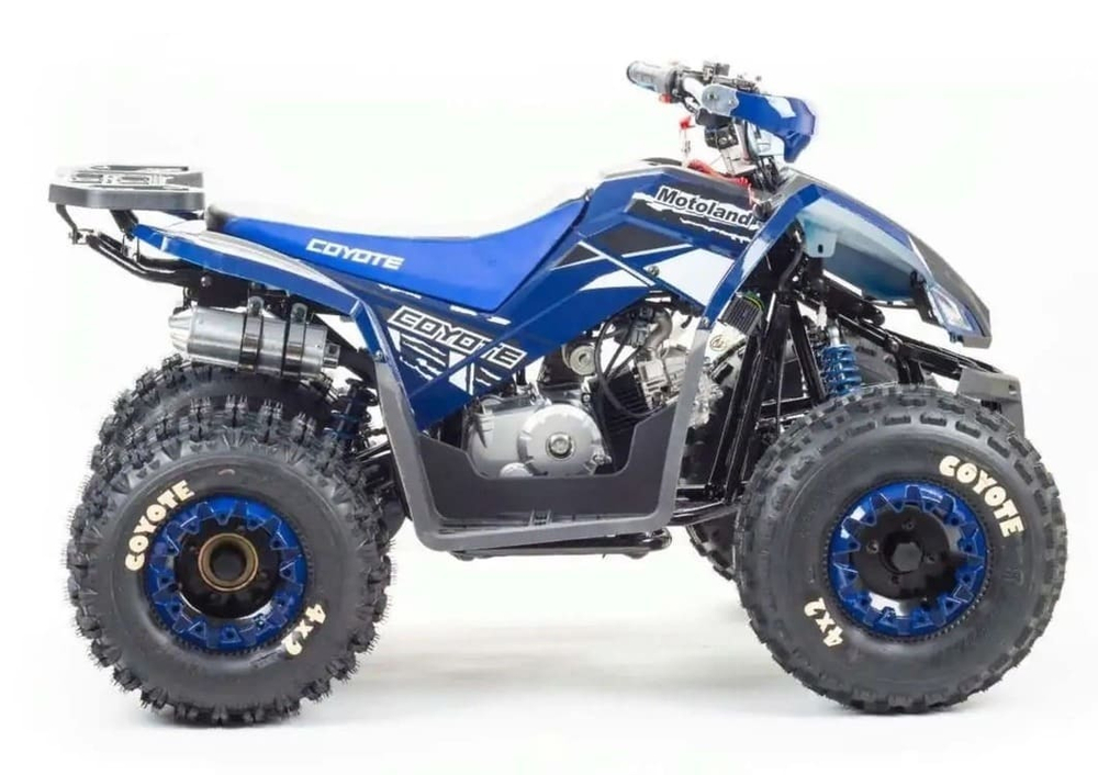 Квадроцикл MOTOLAND 125 Coyote (2021 Г.)