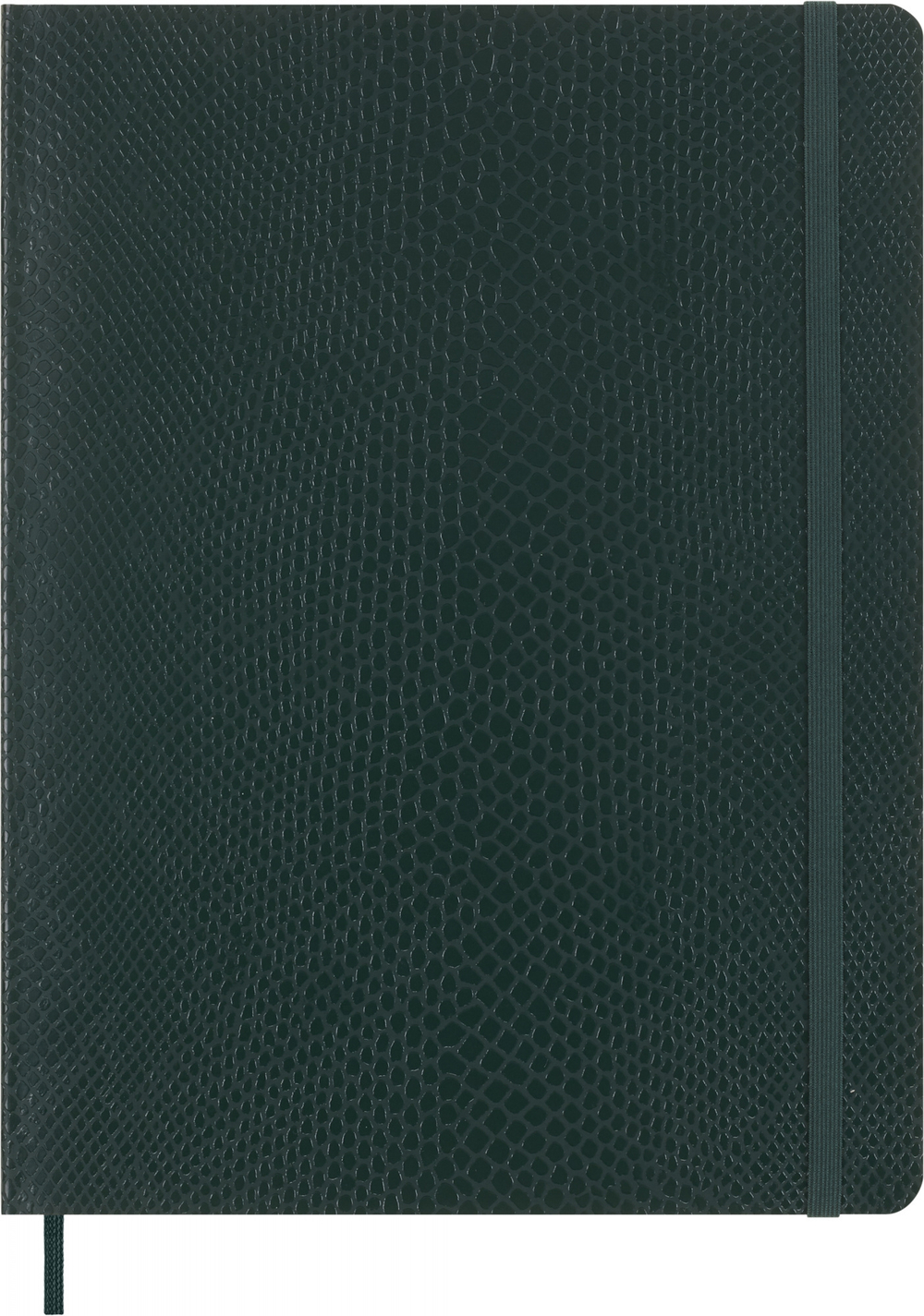 Блокнот Moleskine LE Soft Vegan Leather XL (QP621K54VBOABOX) 19х25см, мягкая обложка, зеленый в подарочной коробке