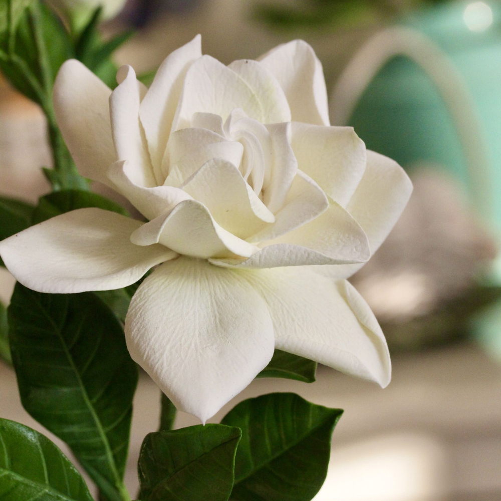 Молд вайнер силиконовый для лепки цветов "Лепесток Гардении"