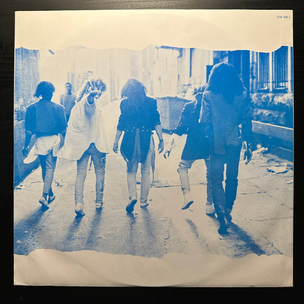 Dan Reed Network - Dan Reed Network (Голландия 1988г.)