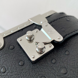 Louis Vuitton Slim Trunk