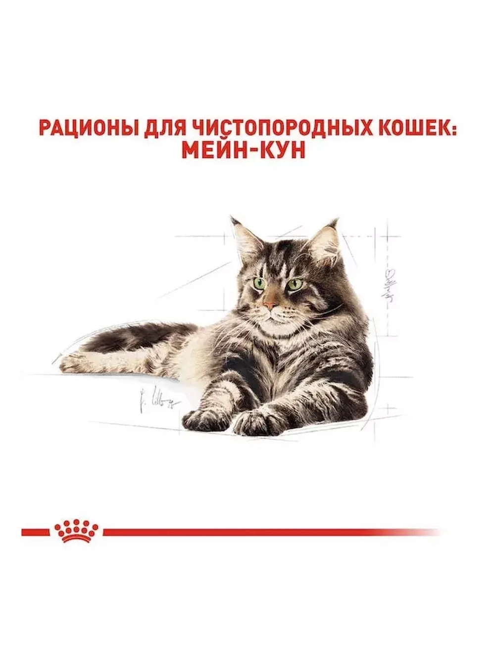 ROYAL CANIN MAINE COON Adult (Роял Канин Мейкун Эдалт) корм сухой для кошек 13 кг.