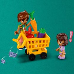 LEGO Friends — Магазин органических продуктов (41729) / артикул   41729  / GTIN 5702017415055