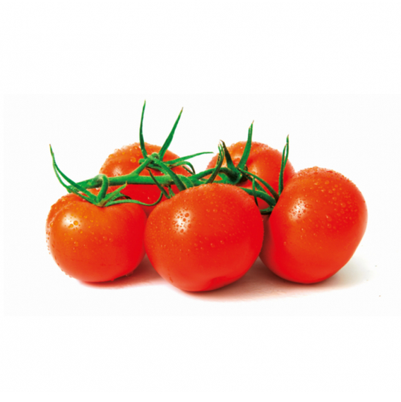 Блиц F1 семена томата детерминантного (Гавриш) – фото 3