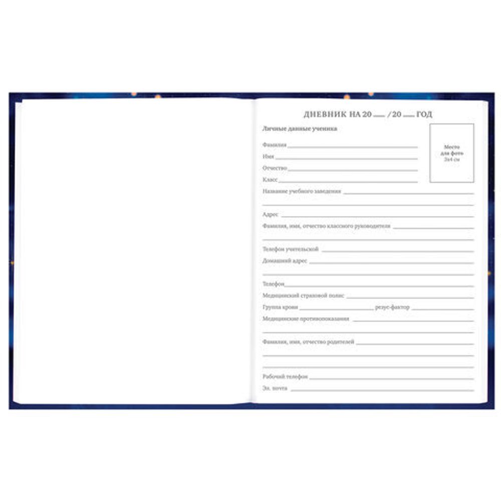 Дневник 5-11 класс 48 л., твердый, BRAUBERG, выборочный лак, с подсказом, "Бабочки", 107198