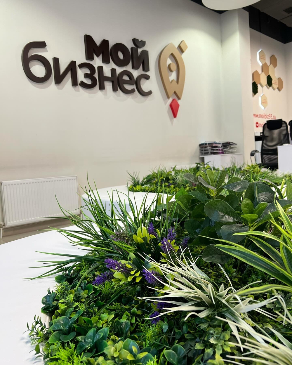 Озеленение искусственными растениями офисного пространства «Фонда развития бизнеса Краснодарского края»в инновационном центре «Аквариум»