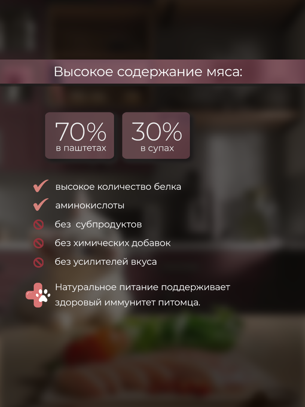 НАБОР Консервы DELISH Super Premium для кошек, индейка/овощи/клюква - 10 шт х 80 гр