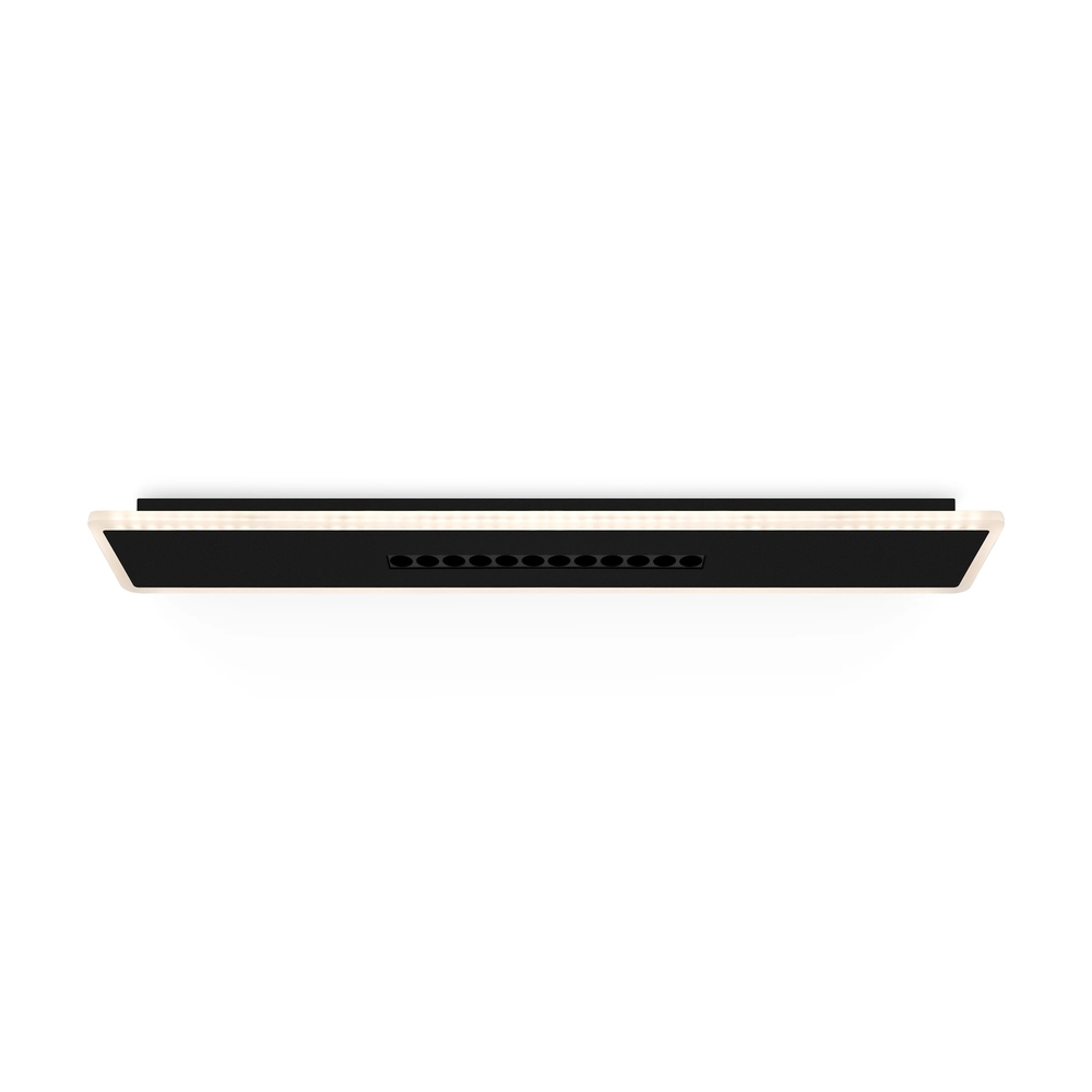 Потолочный светодиодный светильник Freya Shine FR6105CL-L40B
