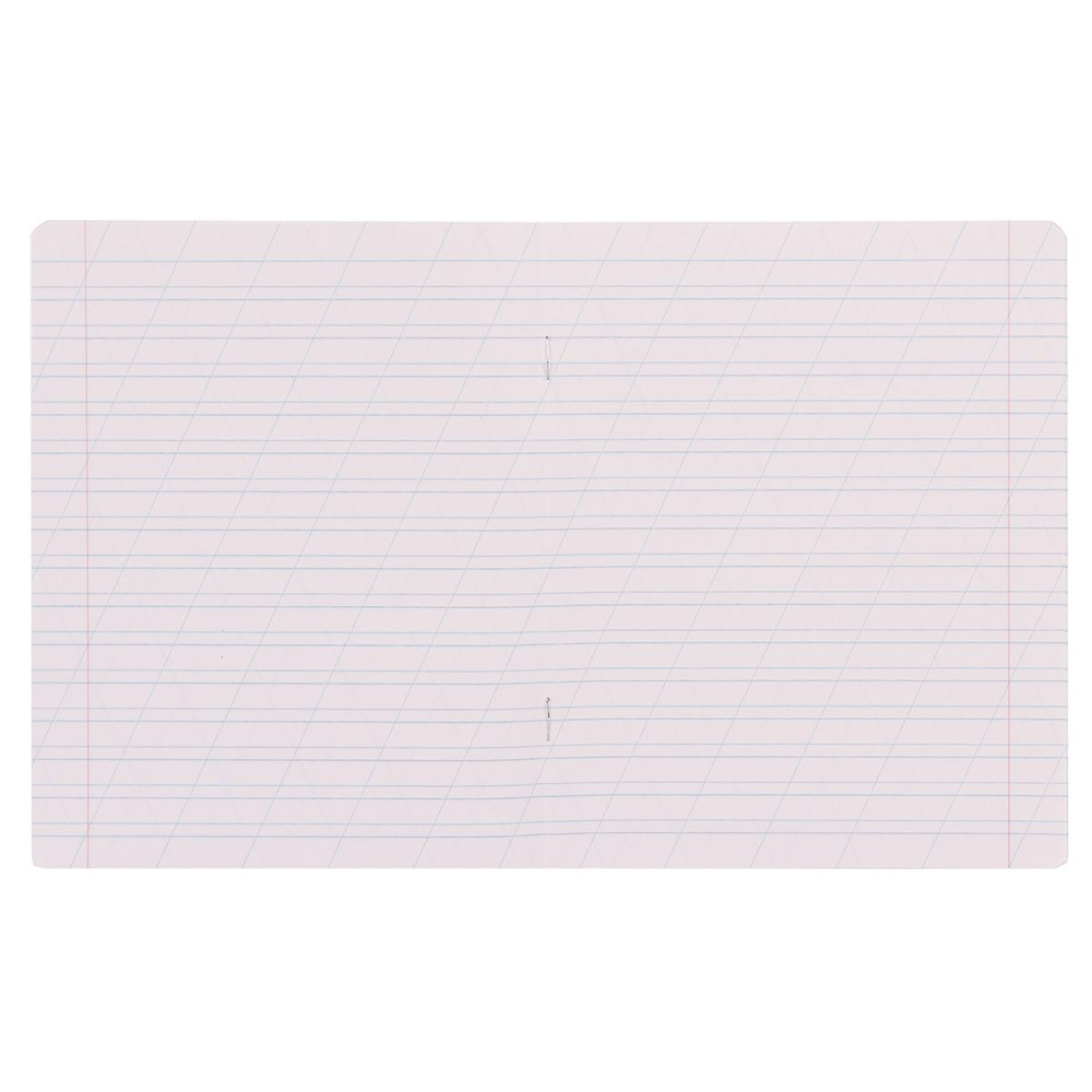 Тетрадь А5 12л. кос.линия "Люкс", 5 цв. (Альт) микс цветов (комплект 5 шт)