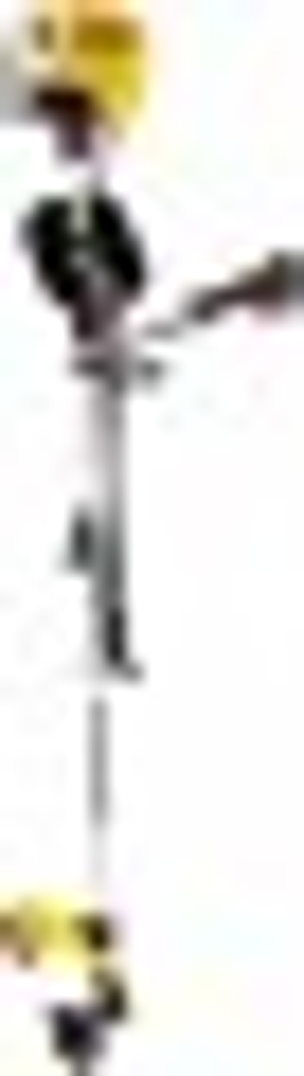 Мотокоса Denzel DT-43S 96225