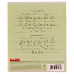 Тетрадь школьная А5 12л узкая линия, зеленая "Классика" (Полиграфика) микс цветов (комплект 3 шт)