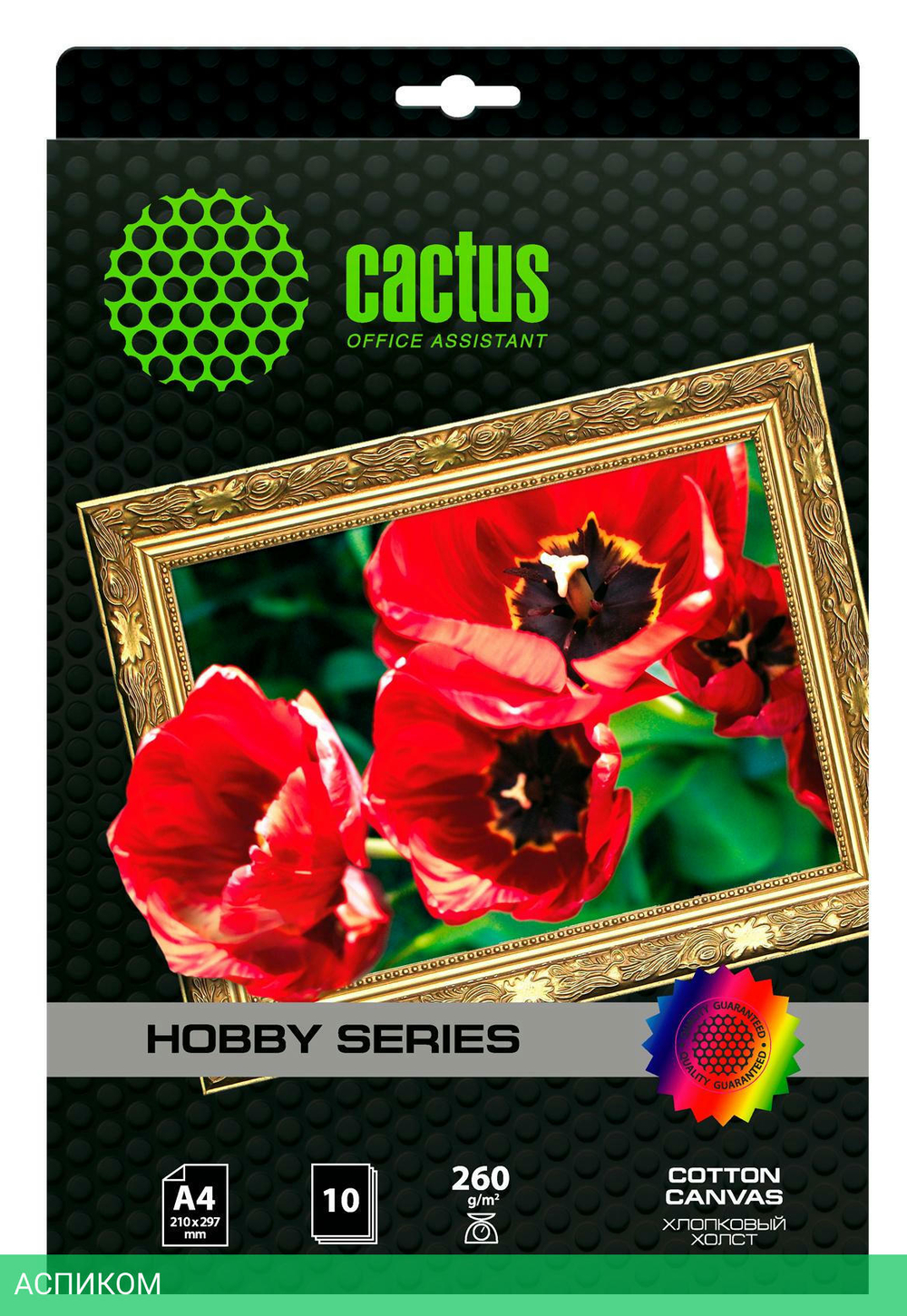 Холст Cactus CS-СA426010