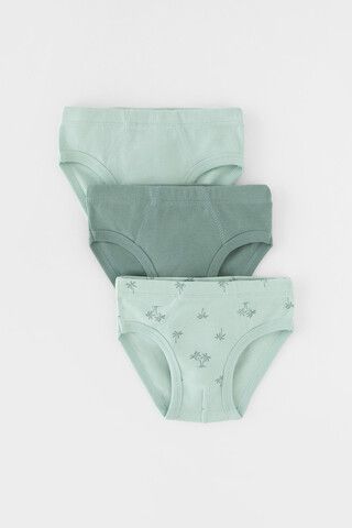 трусы/ уп  для мальчика  К 1928-3уп/полынь,голубая дымка,пальмы