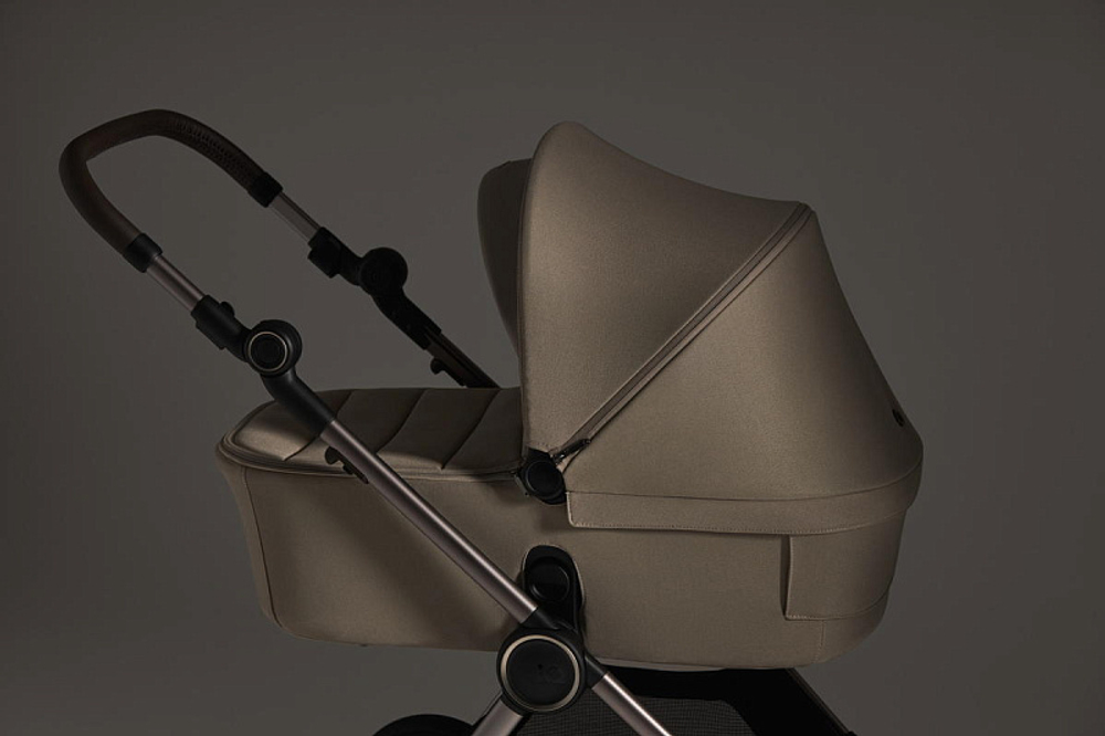 Детская коляска Anex iQ Premium NT 2 в 1 iQ-13-DNA seal