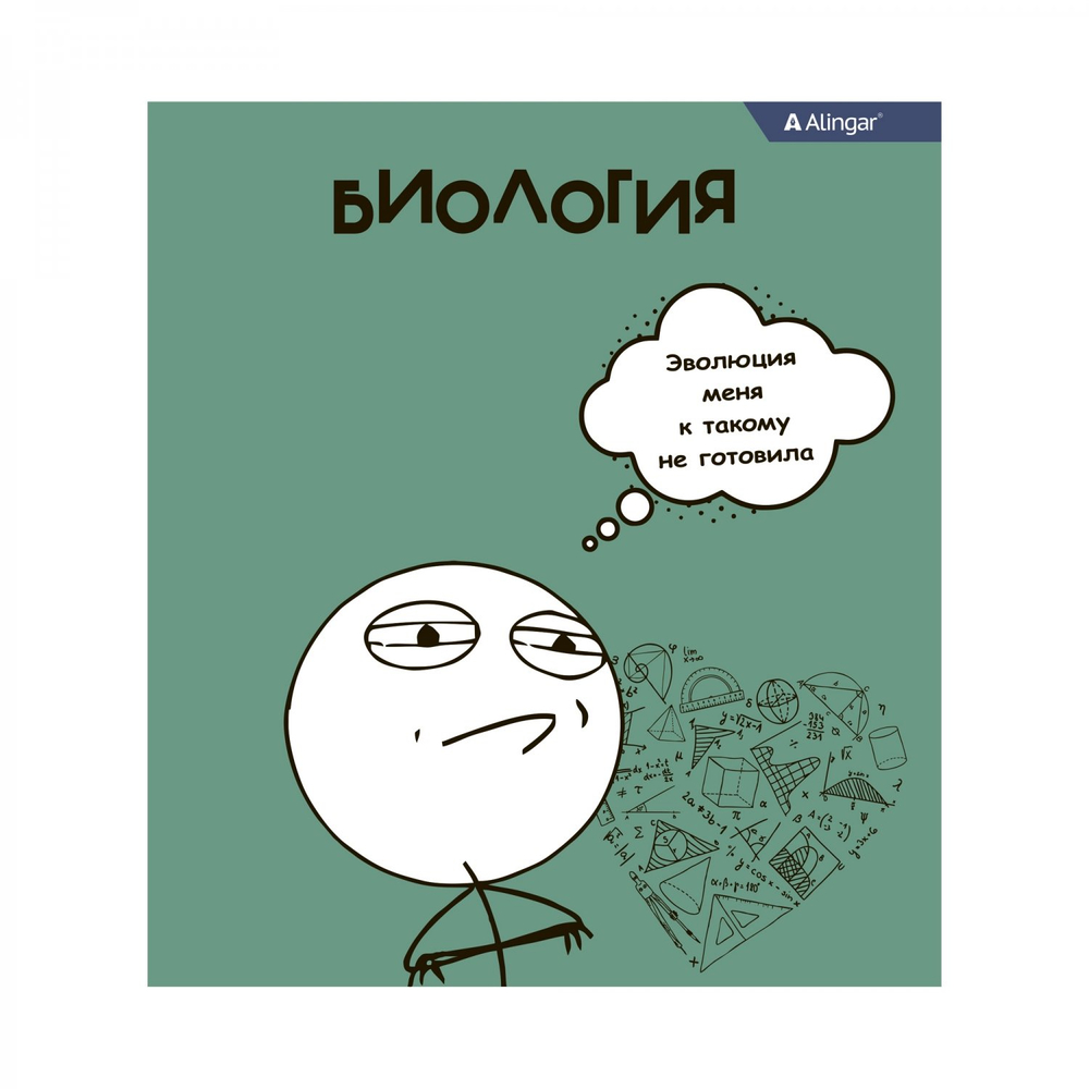 Комплект предметных тетрадей А5 48л., 10 предметов, со справ матер, скрепка, мелов. картон (стандарт), блок офсет, Alingar "Мемы"