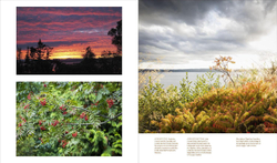 Windcliff: A Story of People, Plants, and Gardens