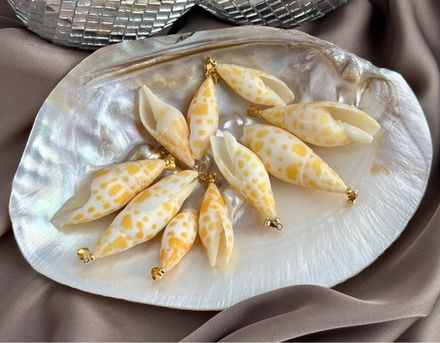 Подвеска "Ракушка пятнистая" (в ассортименте)