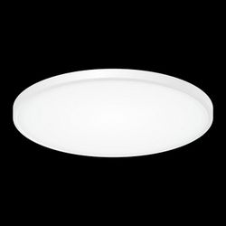 Накладной светильник Citilux Бейсик CL738500V