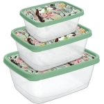 Набор контейнеров для продуктов 3шт (0,5л+0,85л+1,5л) «Botanica» с декором зеленый