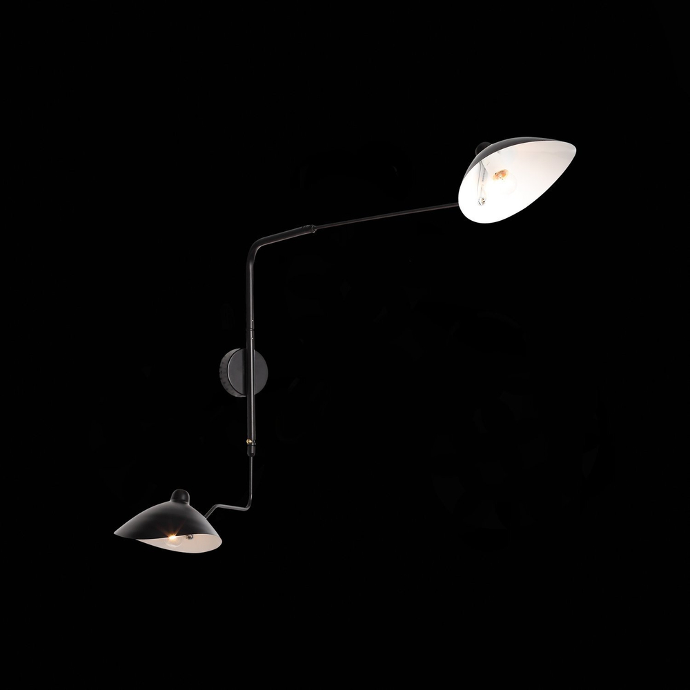 Светильник настенный ST Luce Spruzzo SL305.401.02
