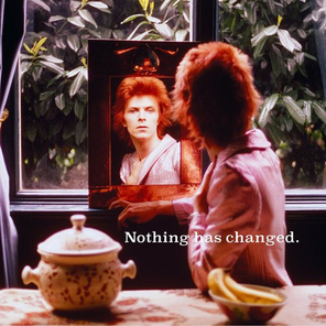 David Bowie / Nothing Has Changed (2LP)