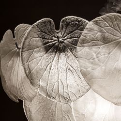 Подвесная люстра Arte Lamp