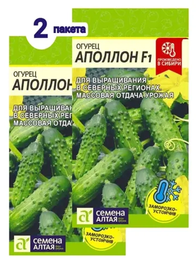 Семена Огурец Аполлон F1