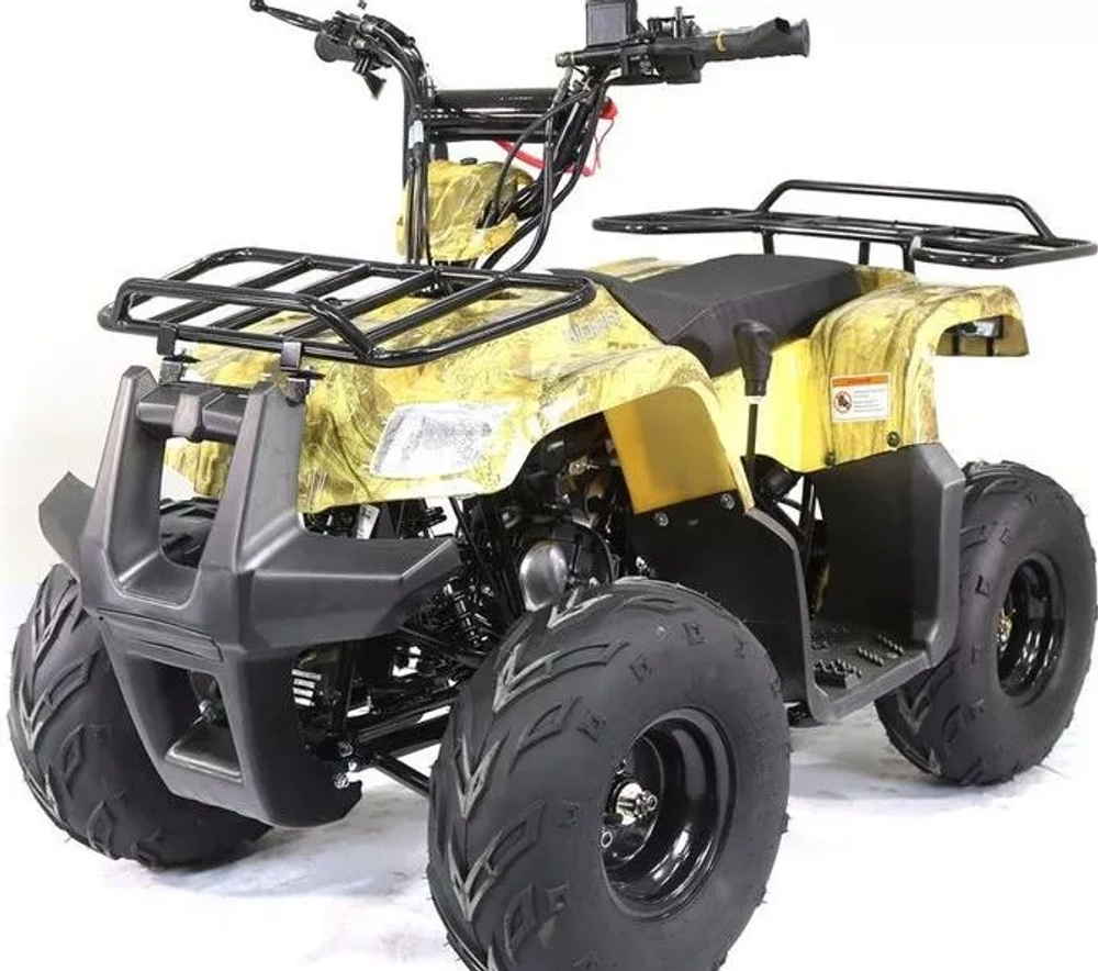 Квадроцикл MOTOLAND (МОТОЛЕНД) 110 RIDER