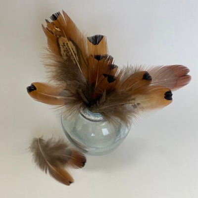 Перья фазана с пятном 3-7 см. 10 шт.