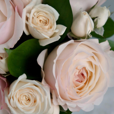 Бело-розовый микс в цинковом кашпо