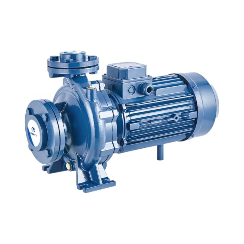 Консольно-моноблочный фланцевый насос PURITY PSTC 65-125/55 (N)