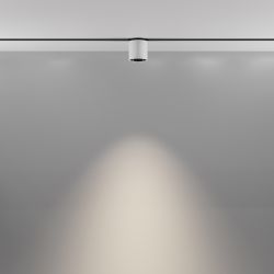 Трековый магнитный светодиодный светильник Maytoni Exility   TR132-2-7W4K-W