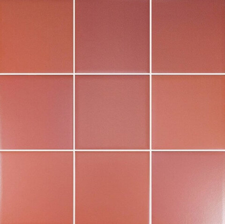 Wow Six Coral 11.7x11.7