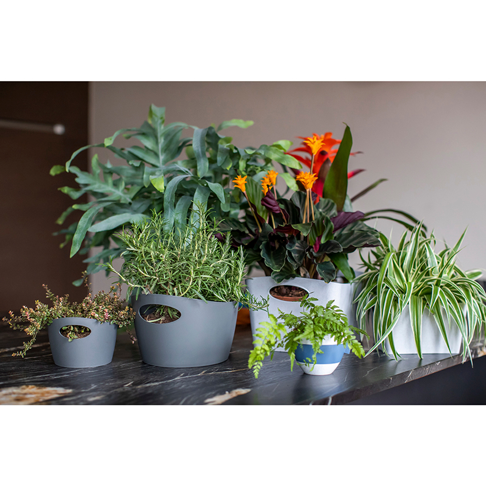 Чашка с термоэффектом aroma, organic, 270 мл,серая