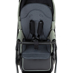 Детская коляска Roan Bass Next 2.0 2 в 1 BSN/43/2 Sage Green/Black/руч.Black