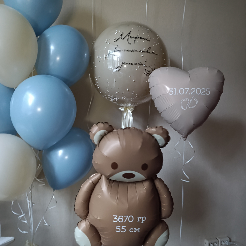 Набор шаров на выписку №34 мишка
