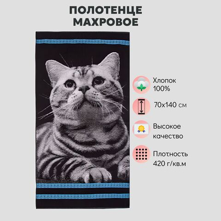 Полотенце Авангард Котик арт. 3875 махровое банное хлопок 100% пл.420г/м2 Россия 70х140 см черное