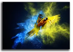 Постер "Шикарный попугай"