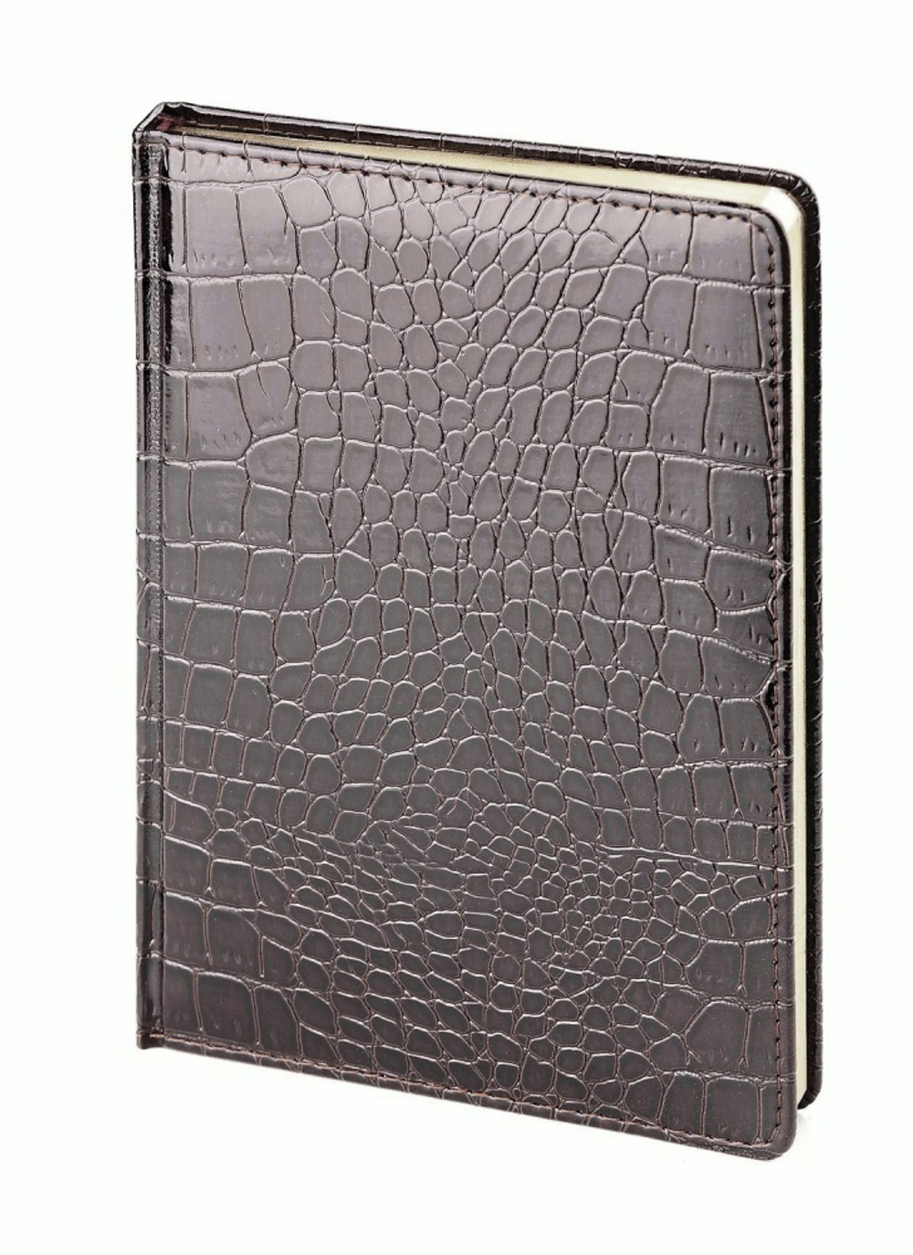 Подарочный набор: Шариковая ручка Parker  Jotter XL SE20 Monochrome в подарочной упаковке, цвет: Black, стержень: Mblue и Ежедневник недатированный А5