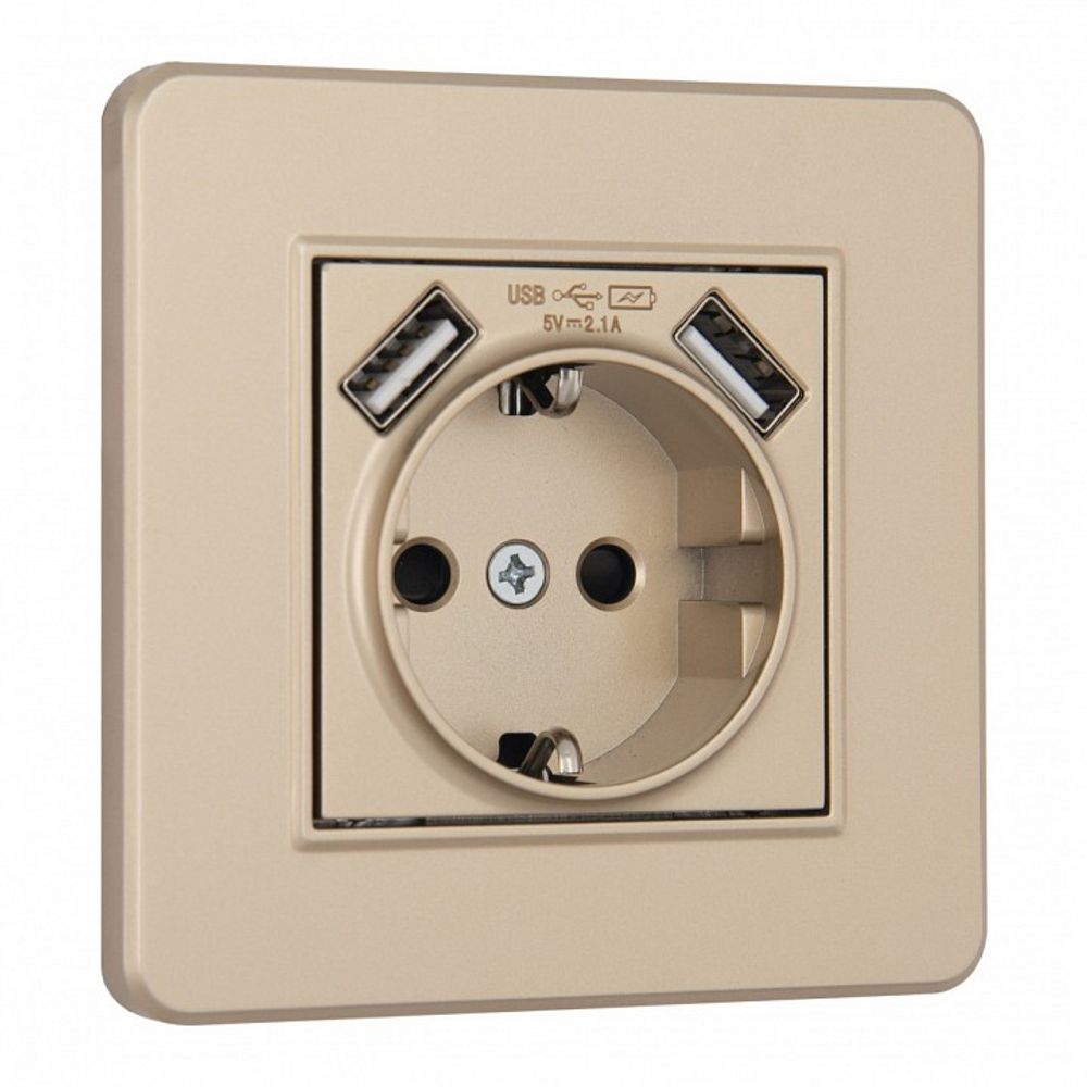 Розетка с заземлением и со шторкой и 2хUSB Arte Milano SET16-1 SET16-1-47-1 shampan