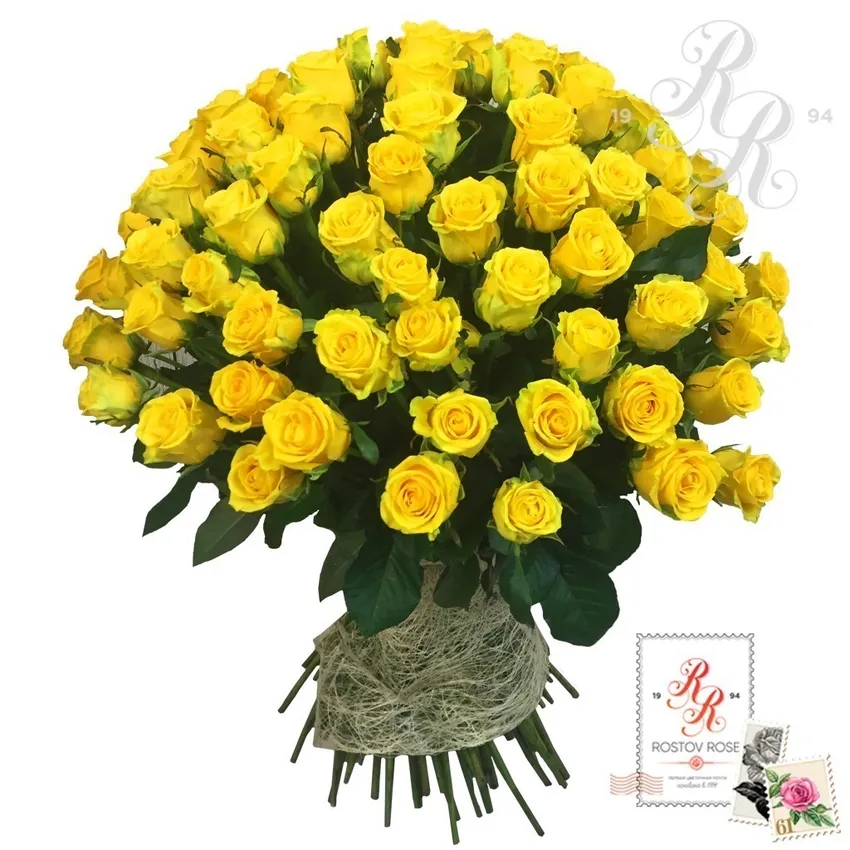 Букет 25 желтых роз (Эквадор)