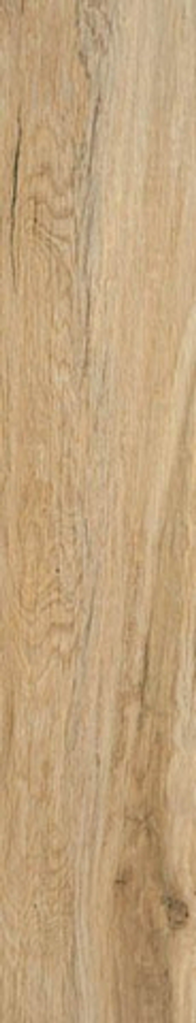 Керамогранит Blaze Roble Matt Rect