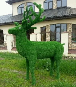 Топиарная фигура Олень