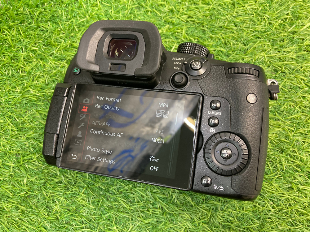 Panasonic Lumix GH5S 4.100 кадров