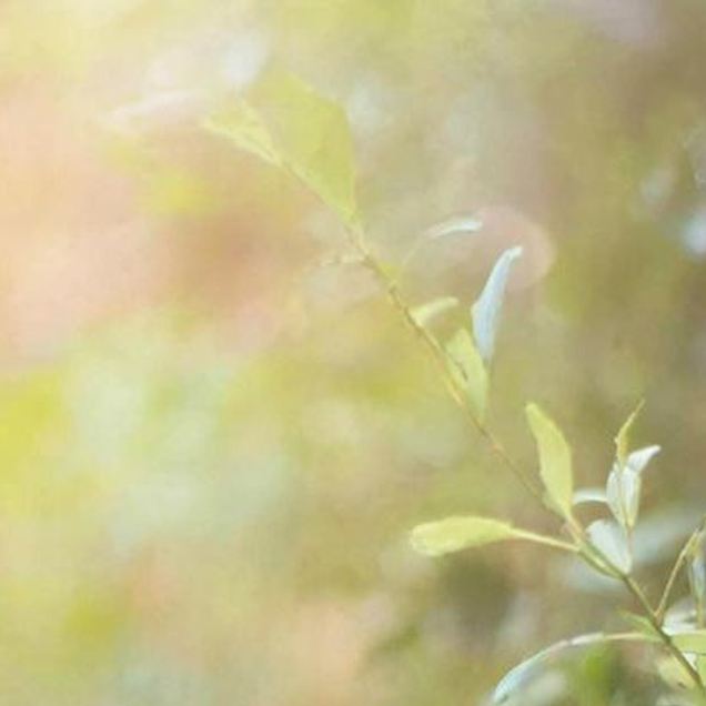 <span>Чем мы можем быть вам полезны</span>