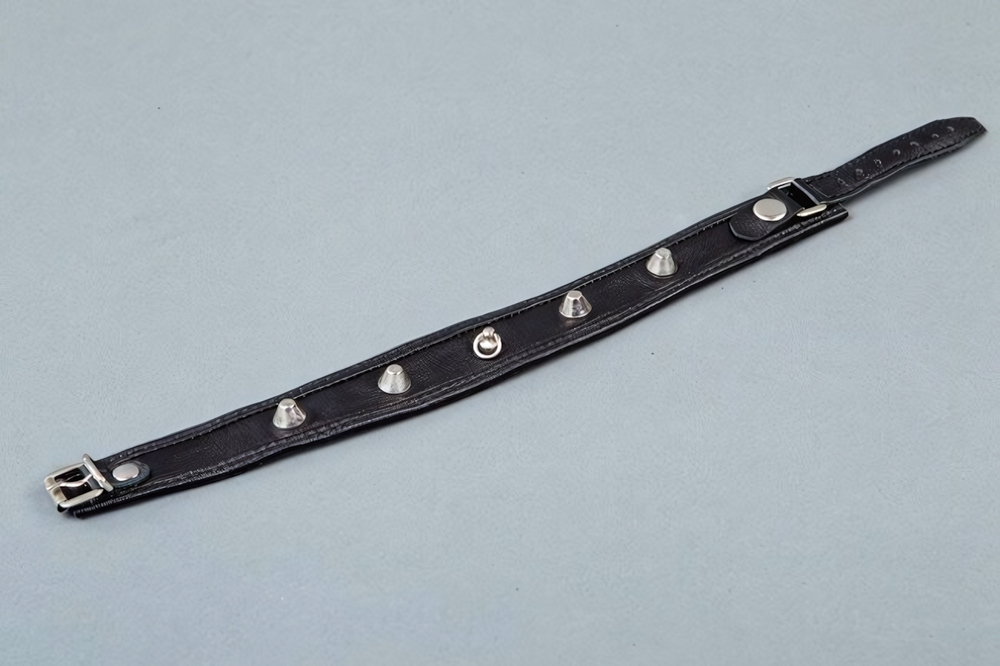 Ошейник узкий с окантовкой (Цвет: черный)